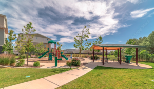 Northern California East Bay community park and playground